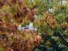 Fall Colors, Seattle, WA, USA